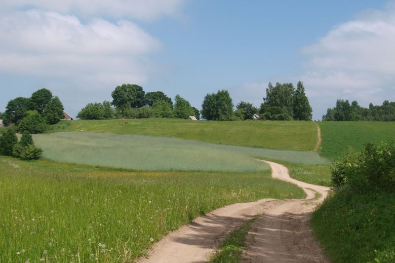 Organizatorių nuotr.