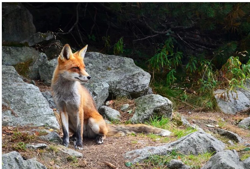 Organizatorių nuotr.