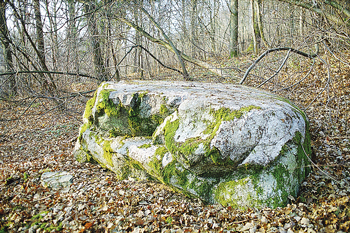 Archyvų nuotr.