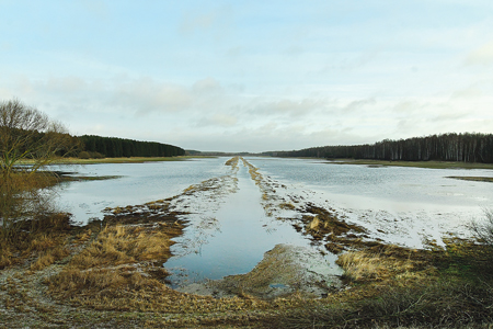 Archyvų nuotr.