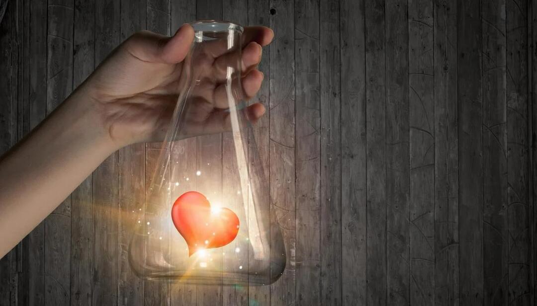 Organizatorių nuotr.