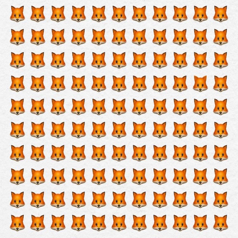 Organizatorių nuotr.