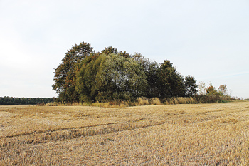 Organizatorių nuotr.