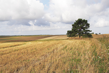 Organizatorių nuotr.