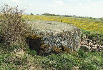 Organizatorių nuotr.