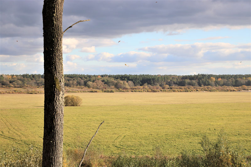 Nuo Šereiklaukio piliakalnio atsiveria įspūdinga panorama į Nemuno slėnius. Netoliese telkšo ir laumių buveine vadinamas Merguvos ežeras. Deniso NIKITENKOS nuotr.