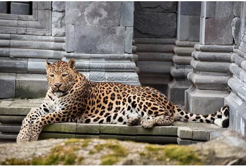 Organizatorių nuotr.