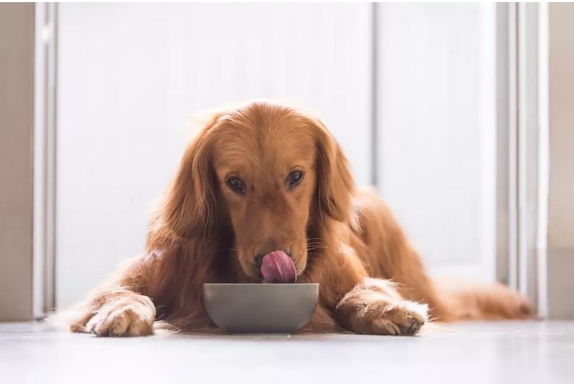 Organizatorių nuotr.