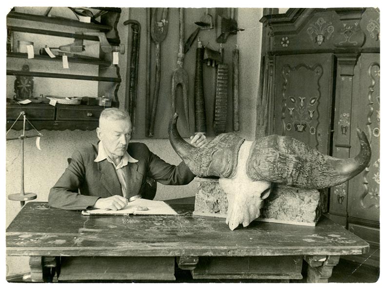 Pirmasis Šilutės muziejaus direktorius Martynas Jonaitis 1950 m. prie buivolo kaukolės, kuri muziejuje saugoma iki šiol. Iliustracijos iš naujosios knygos „Šilutės Hugo Šojaus muziejus, dvaras, parkas – verta atrasti“.