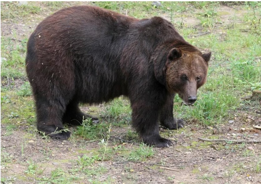 Organizatorių nuotr.