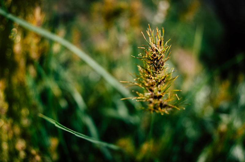 Organizatorių nuotr.