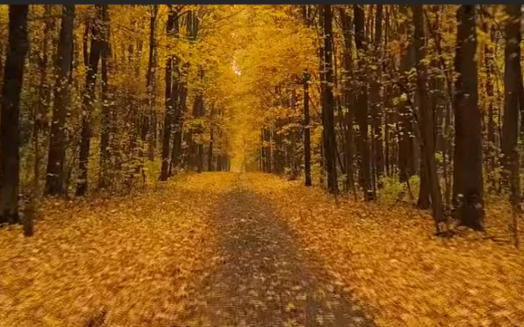 Archyvų nuotr.