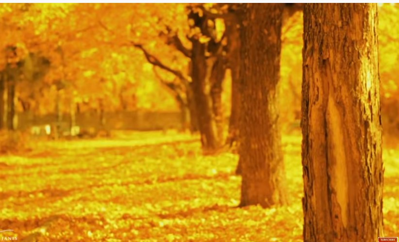 Organizatorių nuotr.