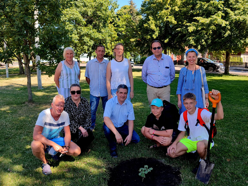 PASODINO. Nidos skvere pasodintas sodinukas, išaugintas iš Stelmužės ąžuolo gilės. Neringos savivaldybės nuotr.