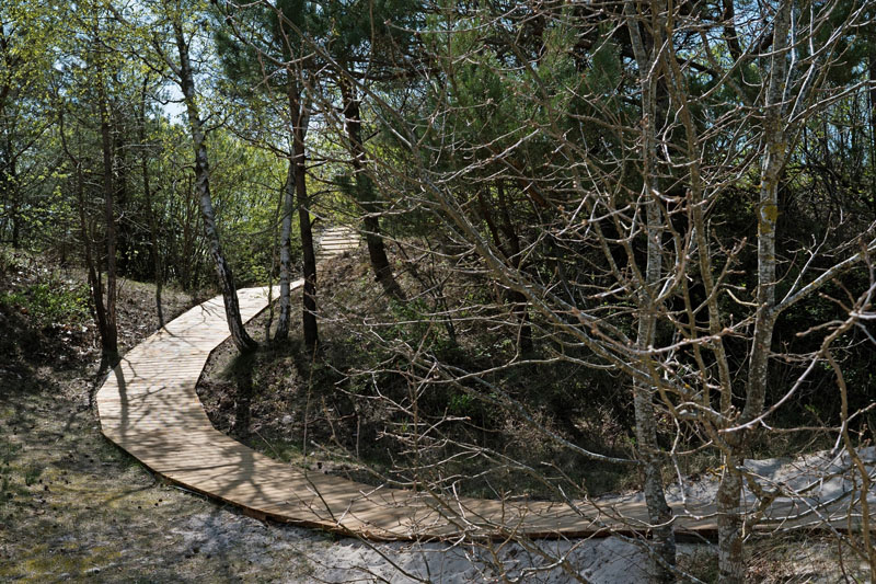 POKYČIAI. Melnragėje, prie Molo, atnaujinti takai, nemažai medinių takų pakeista ir įvairių paplūdimių prieigose. Vitos JUREVIČIENĖS nuotr.