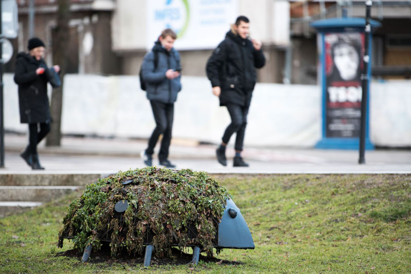 GĖLINĖS-BORUŽĖLĖS užkliūva ne visiems. Vitos JUREVIČIENĖS nuotr.