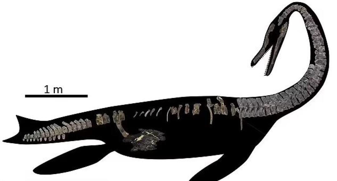 Organizatorių nuotr.