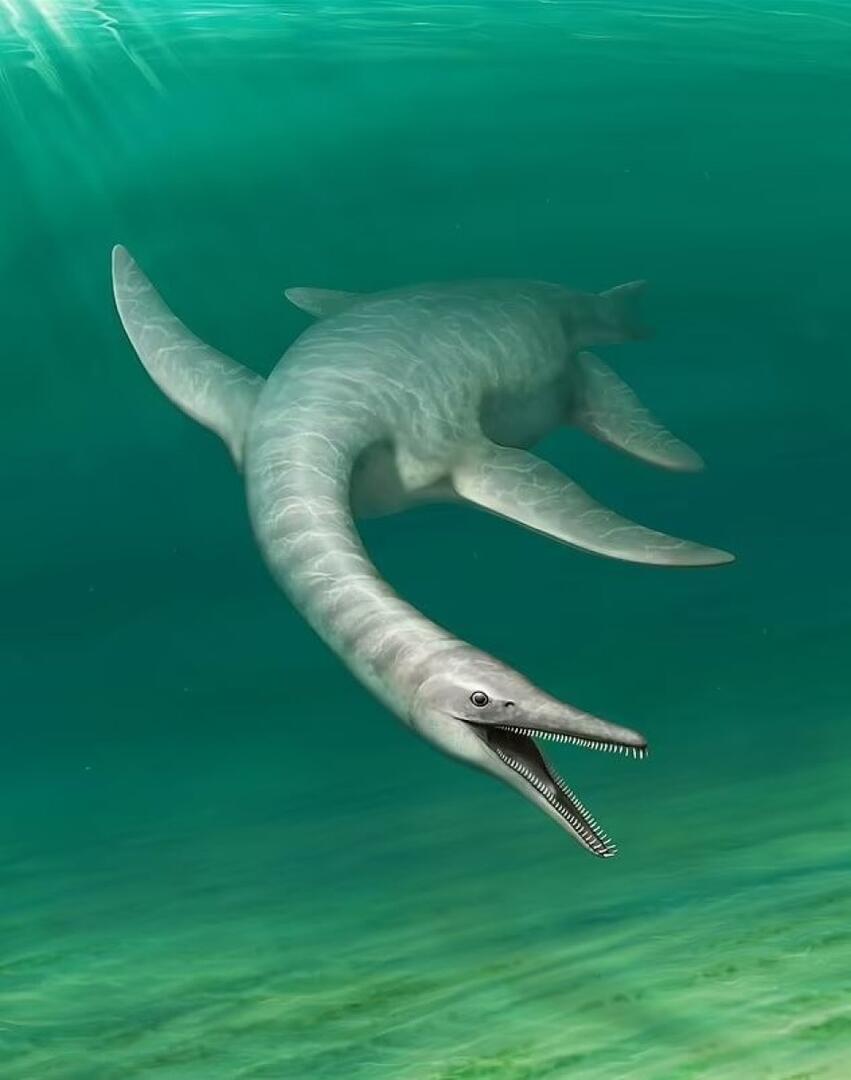 Organizatorių nuotr.