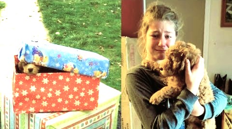 Organizatorių nuotr.