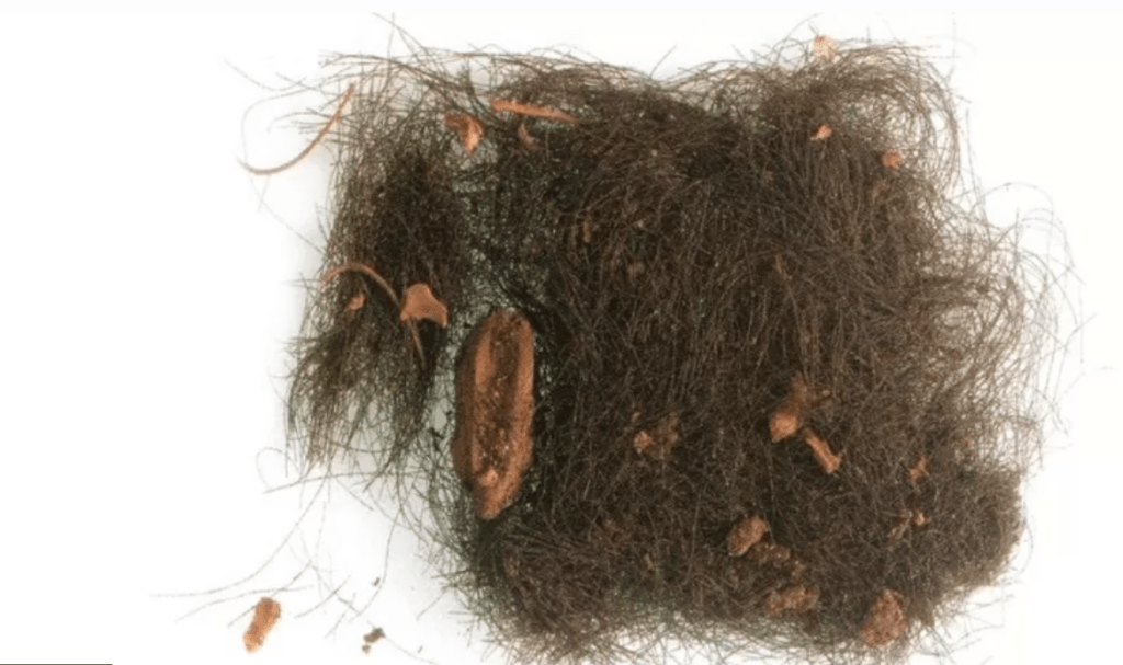 Organizatorių nuotr.