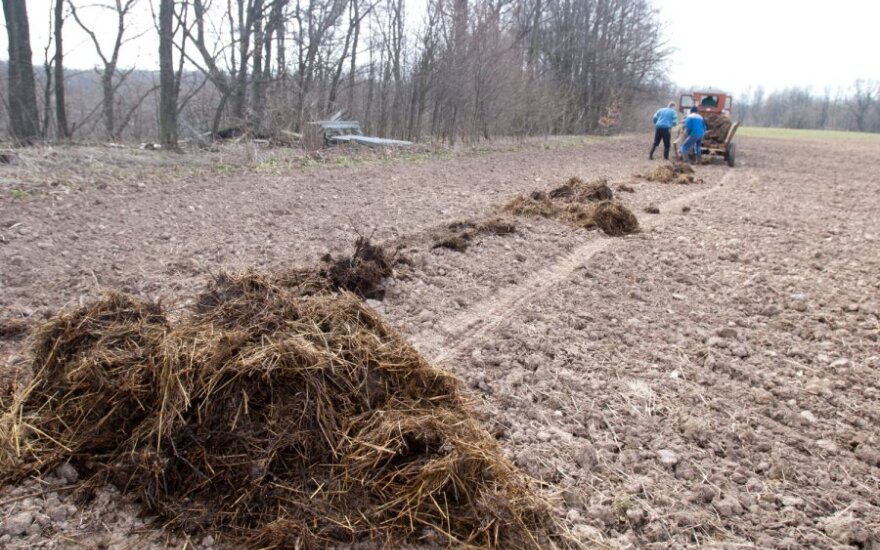 Organizatorių nuotr.