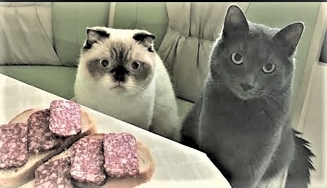 Organizatorių nuotr.