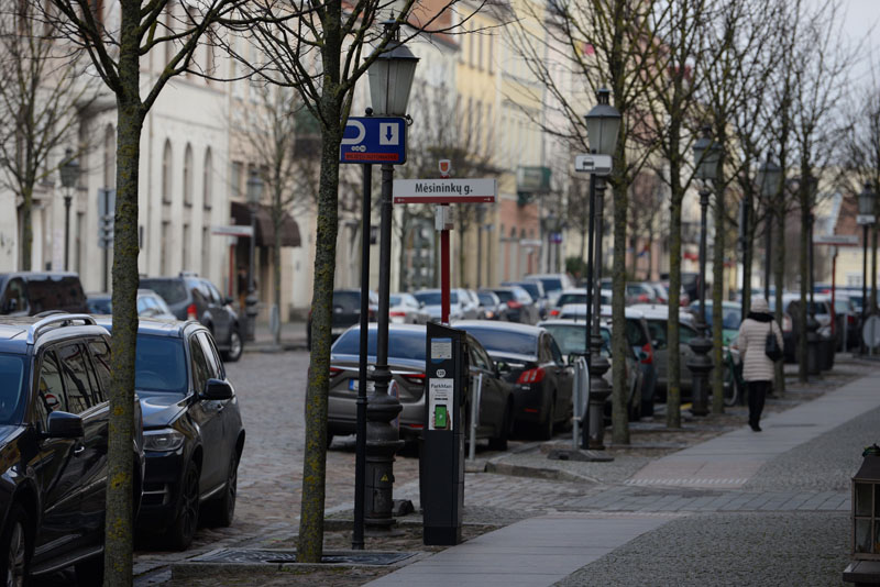 Vitos JUREVIČIENĖS nuotr.