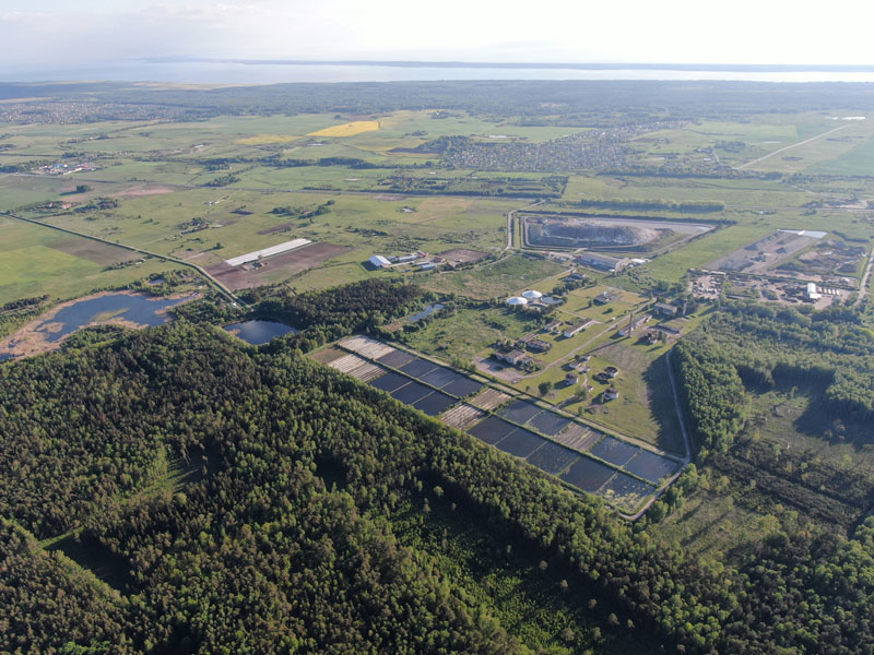 MIŠKAS. Ketvergių miškas saugo gyventojus nuo sąvartyno ir vandens valymo įrenginių skleidžiamų kvapų. Redakcijos archyvo nuotr.