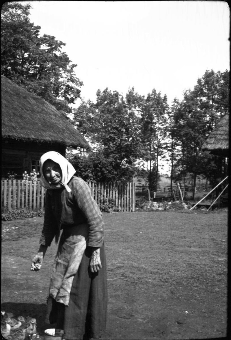 TRADICIJA. Žąsininkystė Lietuvoje turi labai gilias tradicijas. Tarpukariu žąsys buvo auginamos kone kiekvienoje sodyboje. Senutė peni žąsiukus, 1933. Broniaus RADZEVIČIAUS nuotr. iš Nacionalinio M. K. Čiurlionio dailės muziejaus archyvų.