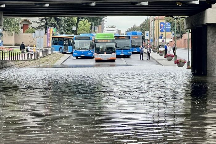 Organizatorių nuotr.