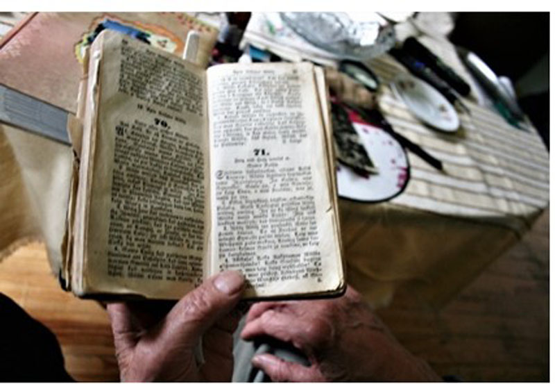 Marijos Lygnugarienės (gim. Vilkaitės) giesmynas, 2014 m.