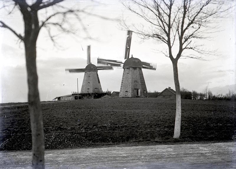 Pajūrio krašto puošmena - vėjo malūnai Sakūčiuose (vok. Michel Sakuten). Apie 1925 m. M. Ehrhardto nuotr.