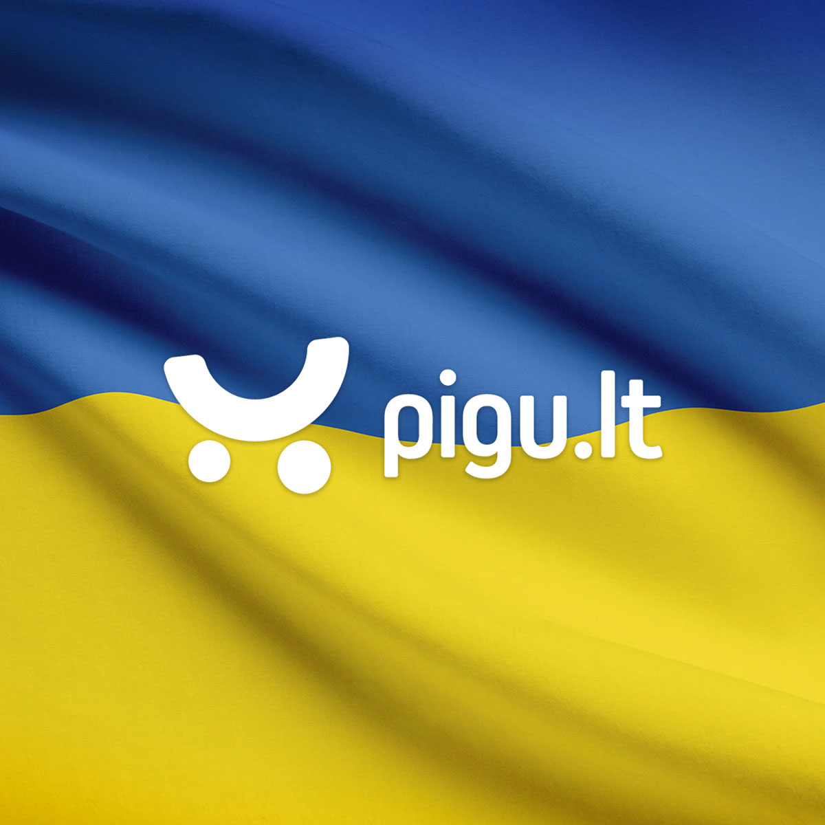 pigu.lt