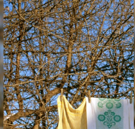 Organizatorių nuotr.