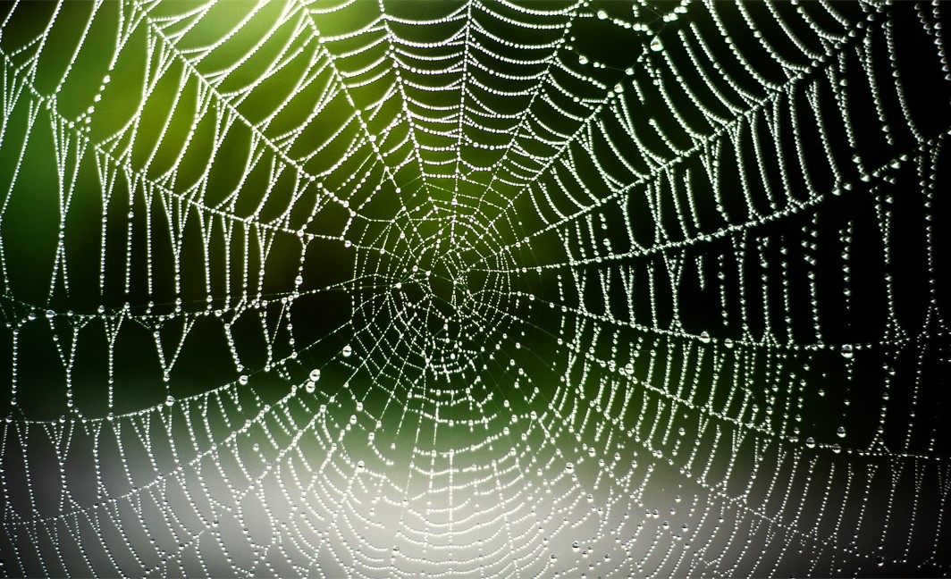 Organizatorių nuotr.