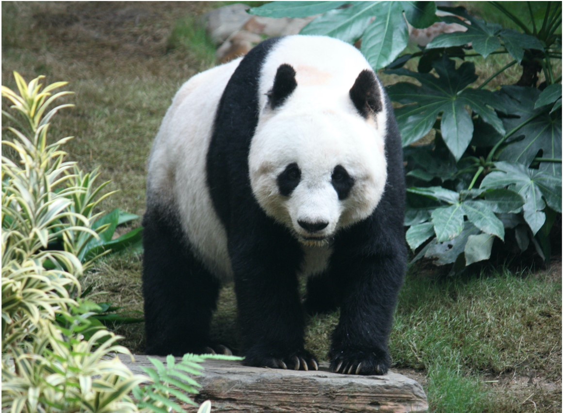 Organizatorių nuotr.