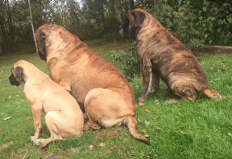 Organizatorių nuotr.