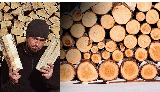 Organizatorių nuotr.