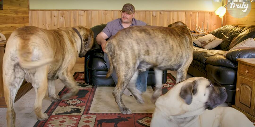 Organizatorių nuotr.