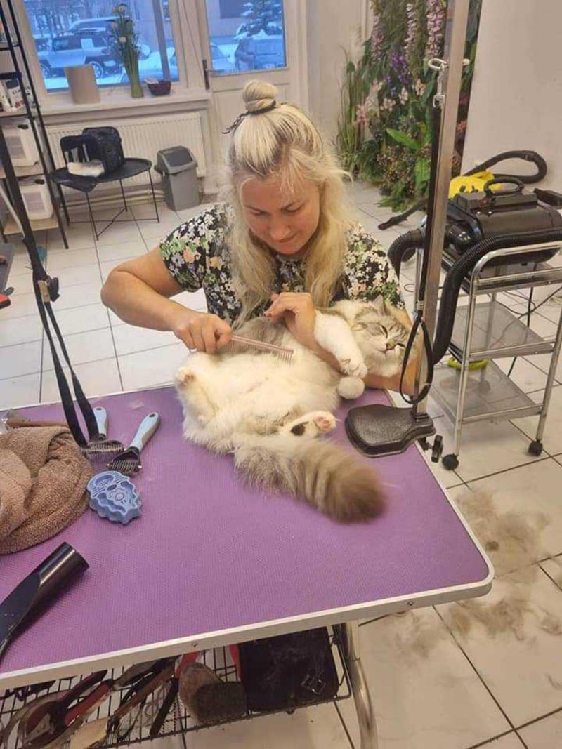 Vitos JUREVIČIENĖS nuotr.