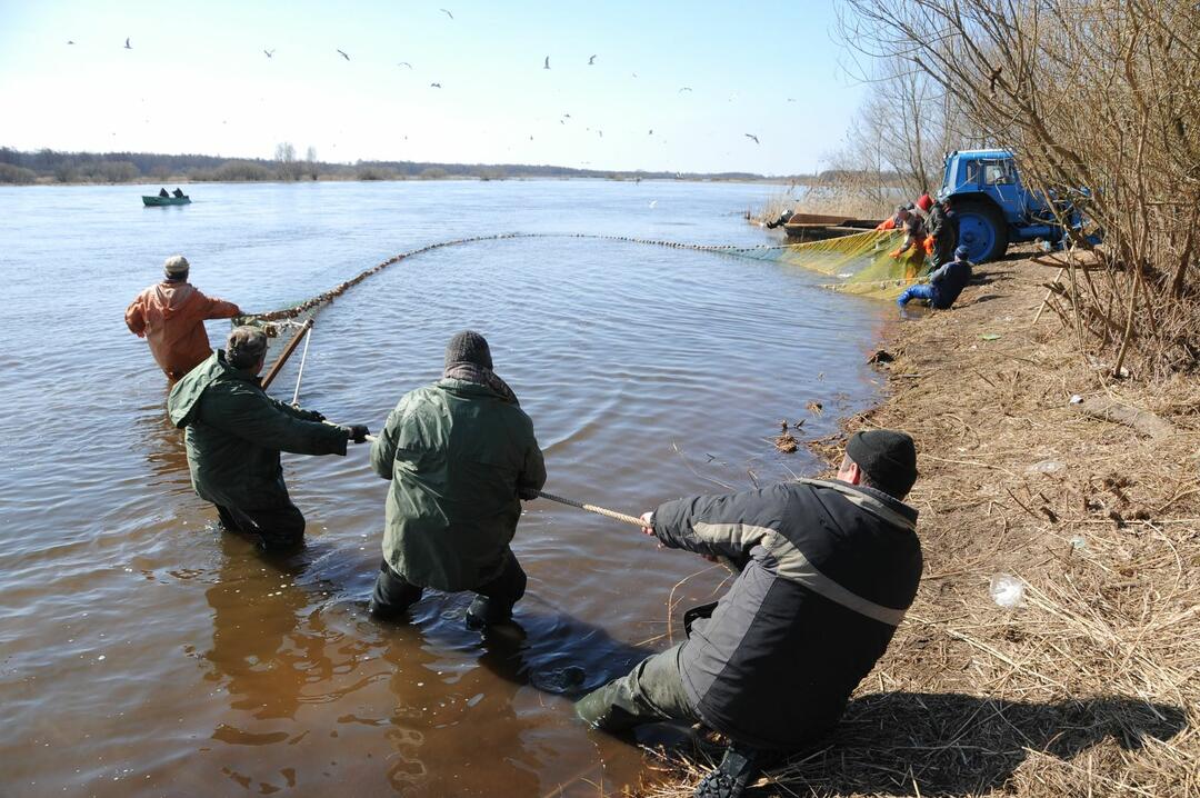 Organizatorių nuotr.