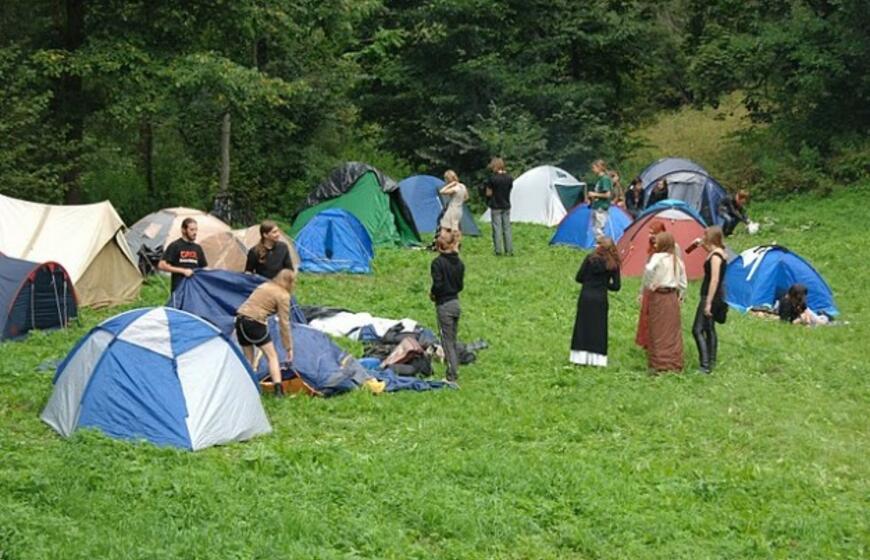 Apuolėje žvanga senoviniai ginklai