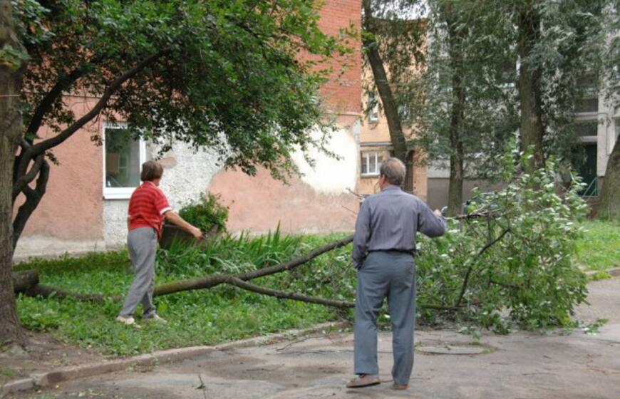 Klaipėdoje vėjo nulaužyti medžiai ir šakos