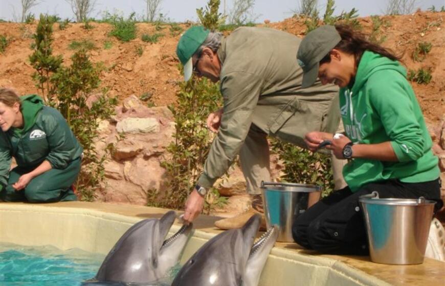 Klaipėdos delfinai jau apsipranta Graikijoje