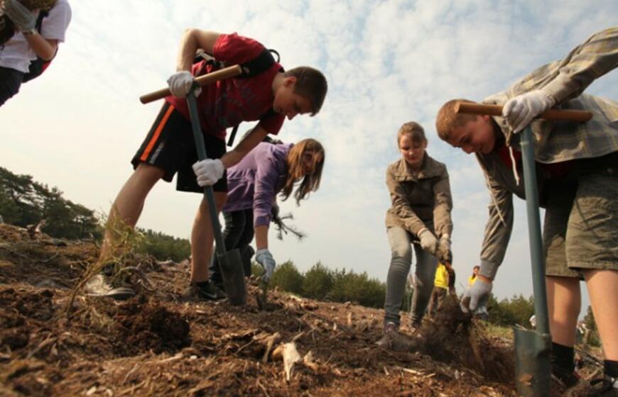 Medelių sodinimo akcija Kuršių nerijoje