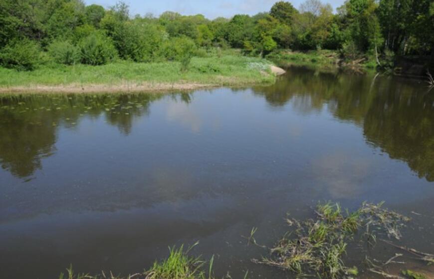 Danės upėje pastebėtos teršalų dėmės