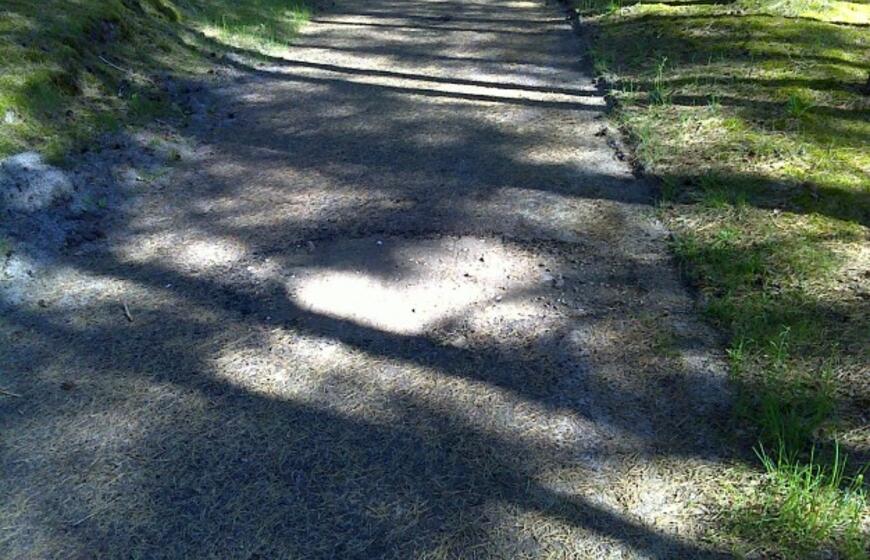 Naikinamas dviračių takas