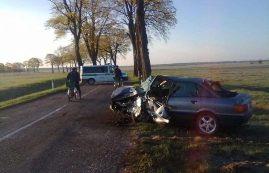 "Audi" rėžėsi į pakelės medį