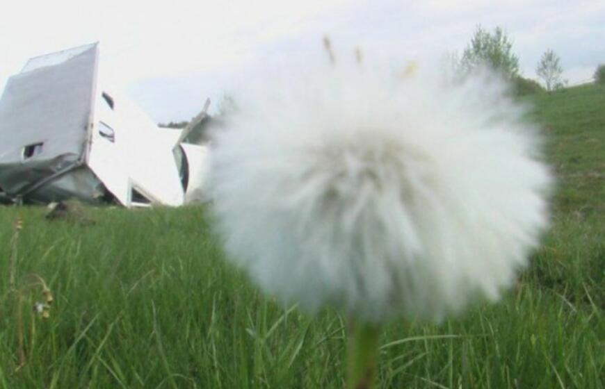 Po rūsčia išvaizda - meniška siela