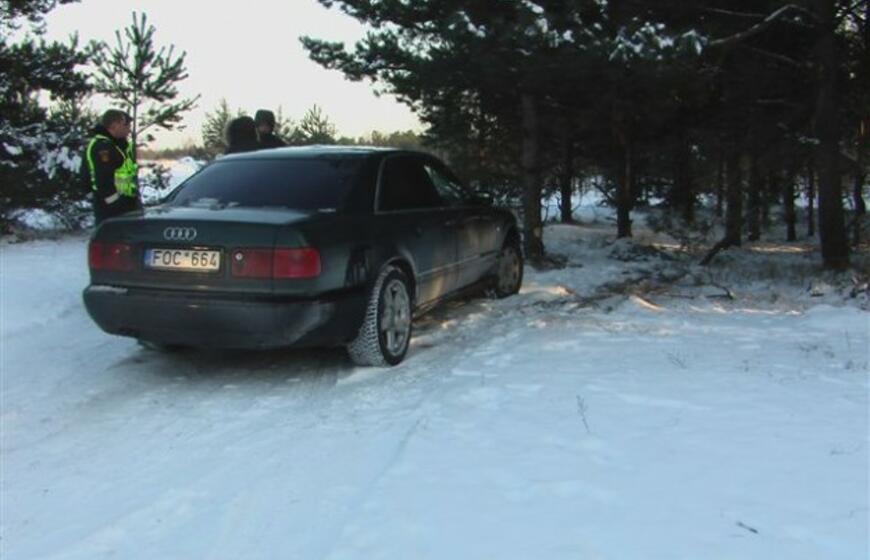 Kairių poligone "Audi" trenkėsi į medį